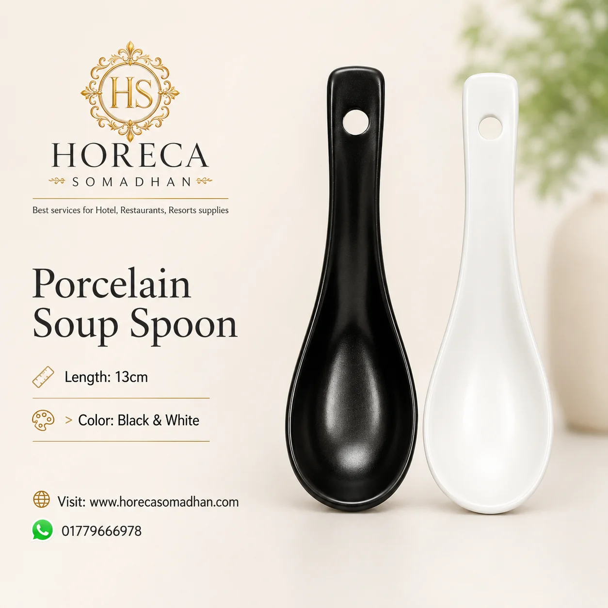 Ceramic Soup Spoon - Black & White